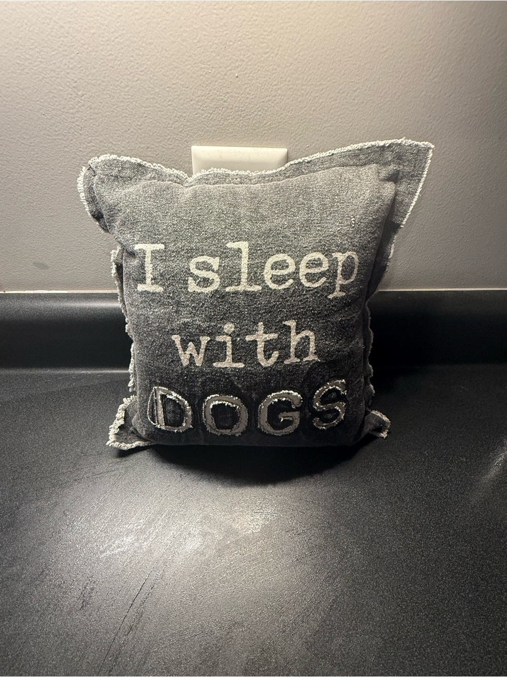 I Sleep With Dogs Decorative Pillow - Gray